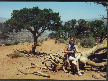 Linda Wallin sitting on a log beside a Grand Canyon trail